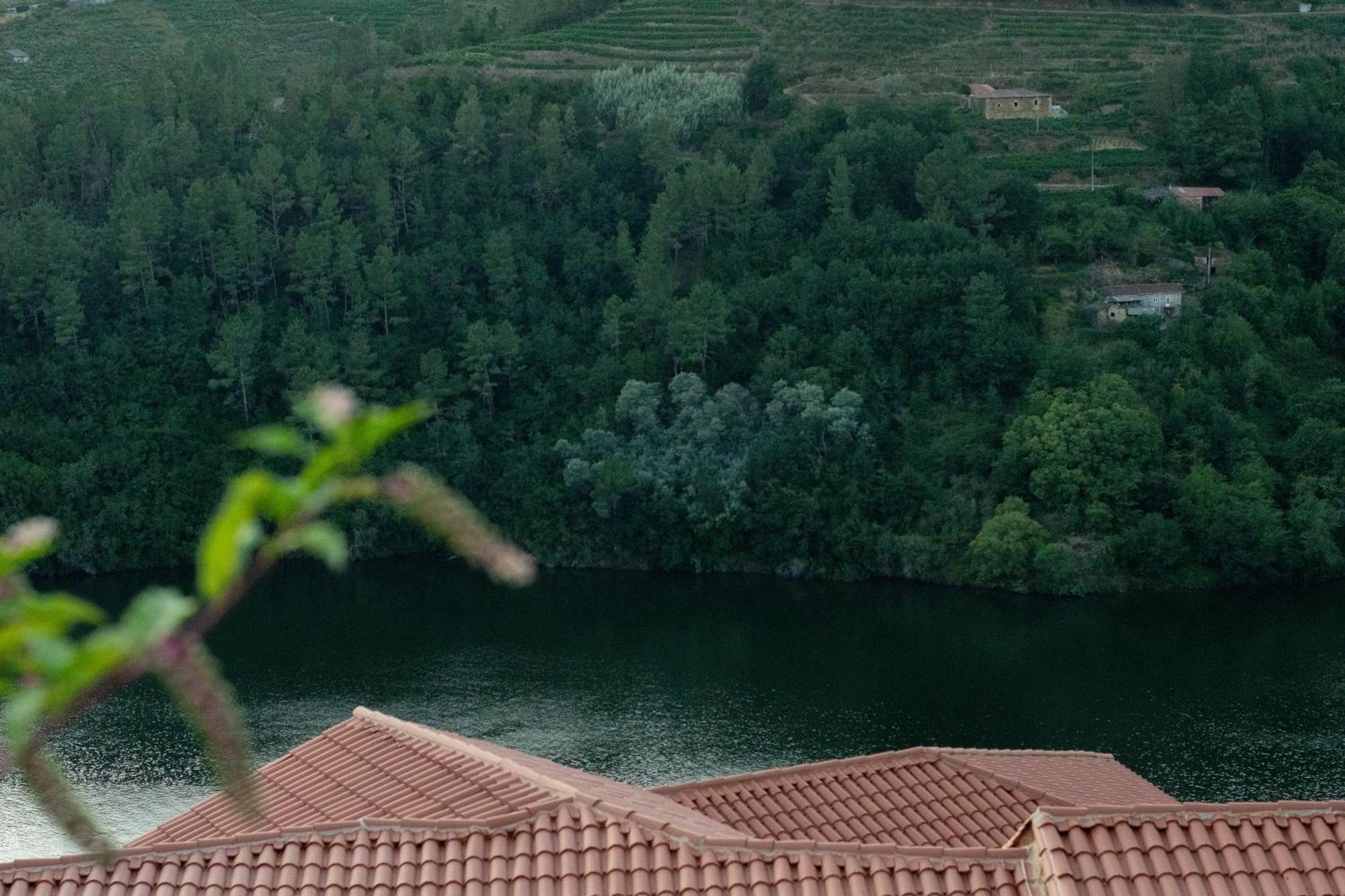 Ecolagar O Barqueiro Villa Pantón Exteriör bild